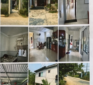 Quyền sử dụng đất và tài sản gắn liền trên trên đất tại thửa đất số: 1513, tờ bản đồ số: 03 (theo CSDL mới là tờ bản đồ số 50) có địa chỉ tại thôn Thạnh Hòa, xã Quế Xuân 1, huyện Quế Sơn, tỉnh Quảng Nam (nay là thôn Thạnh Hòa, xã Xuân Phú, thành phố Đà Nẵng)