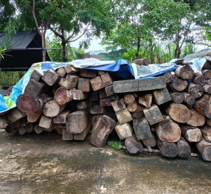 Lô Gỗ Tròn và Gỗ Xẻ của Đội Kiểm lâm Cơ động và PCCCR số 2