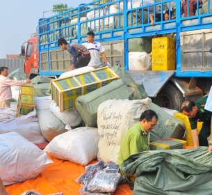VI PHẠM HÀNH CHÍNH